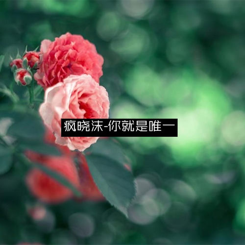 你就是唯一