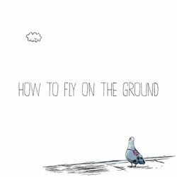 Cover of How To Fly On The Ground