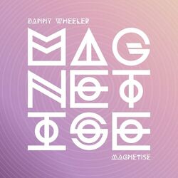 Cover of Magnetise