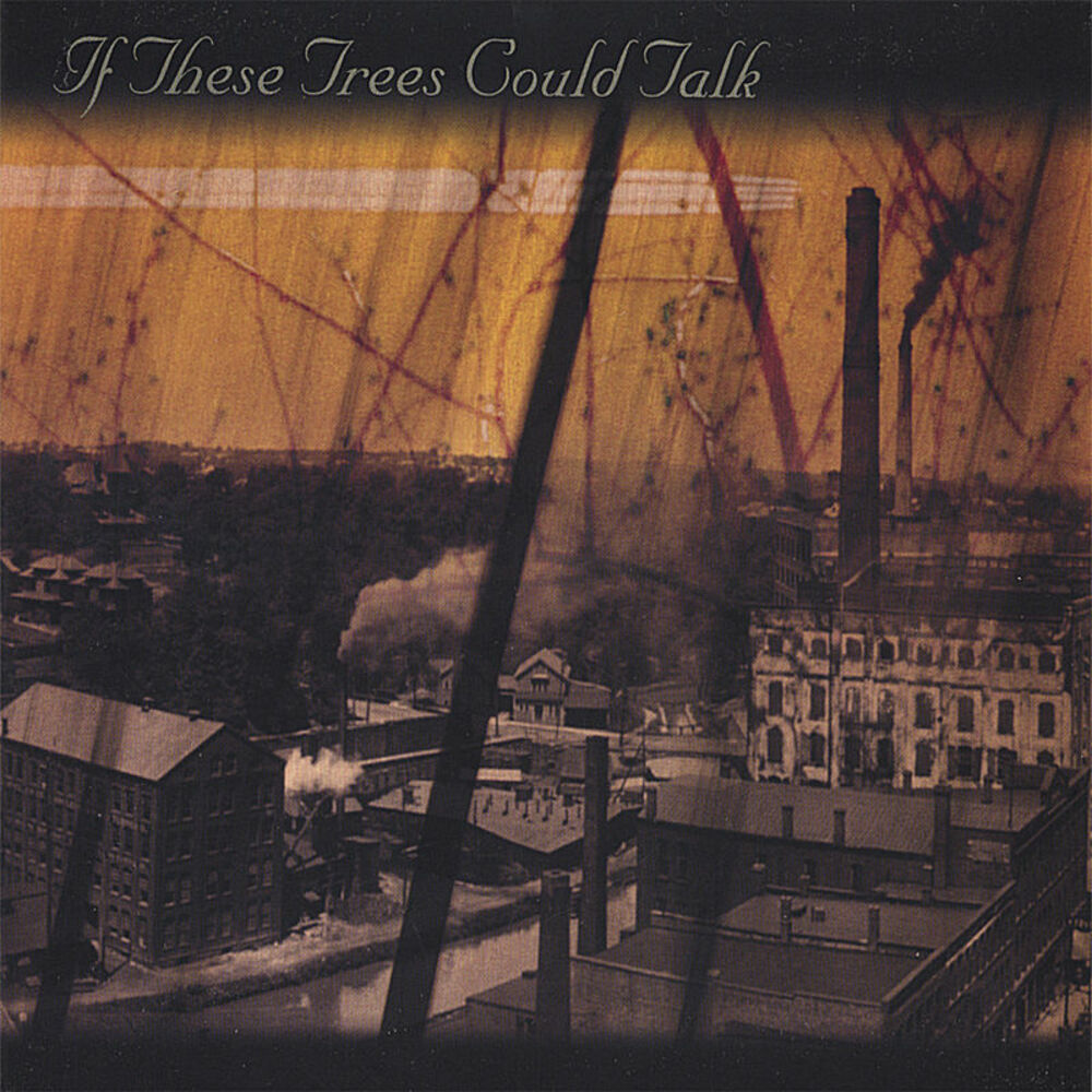 Picture of If These Trees Could Talk