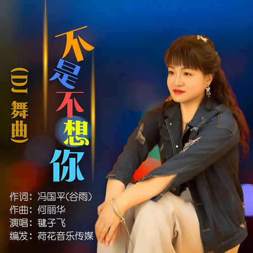 不是不想你 (DJ舞曲)