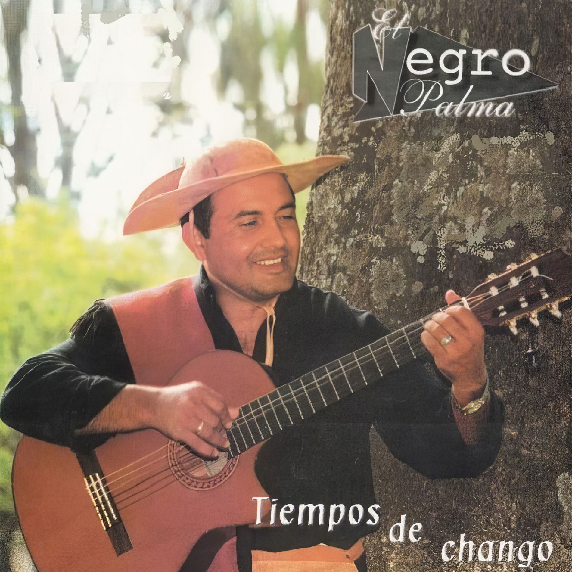 Album cover of Tiempos de chango