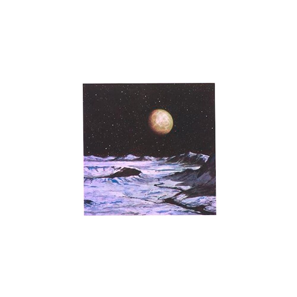 Picture of Canna