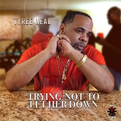Cover of Trying Not to Let Her Down