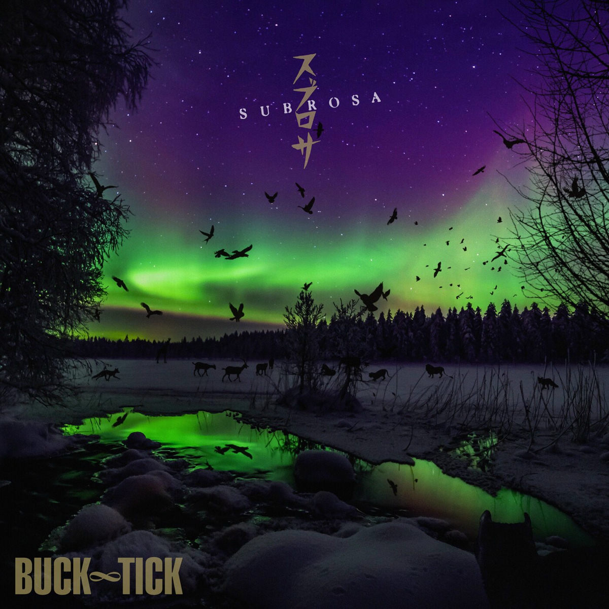 BUCK-TICK 会報　【FT.016〜FT.024】 Welcome to Buck-Tick Zone