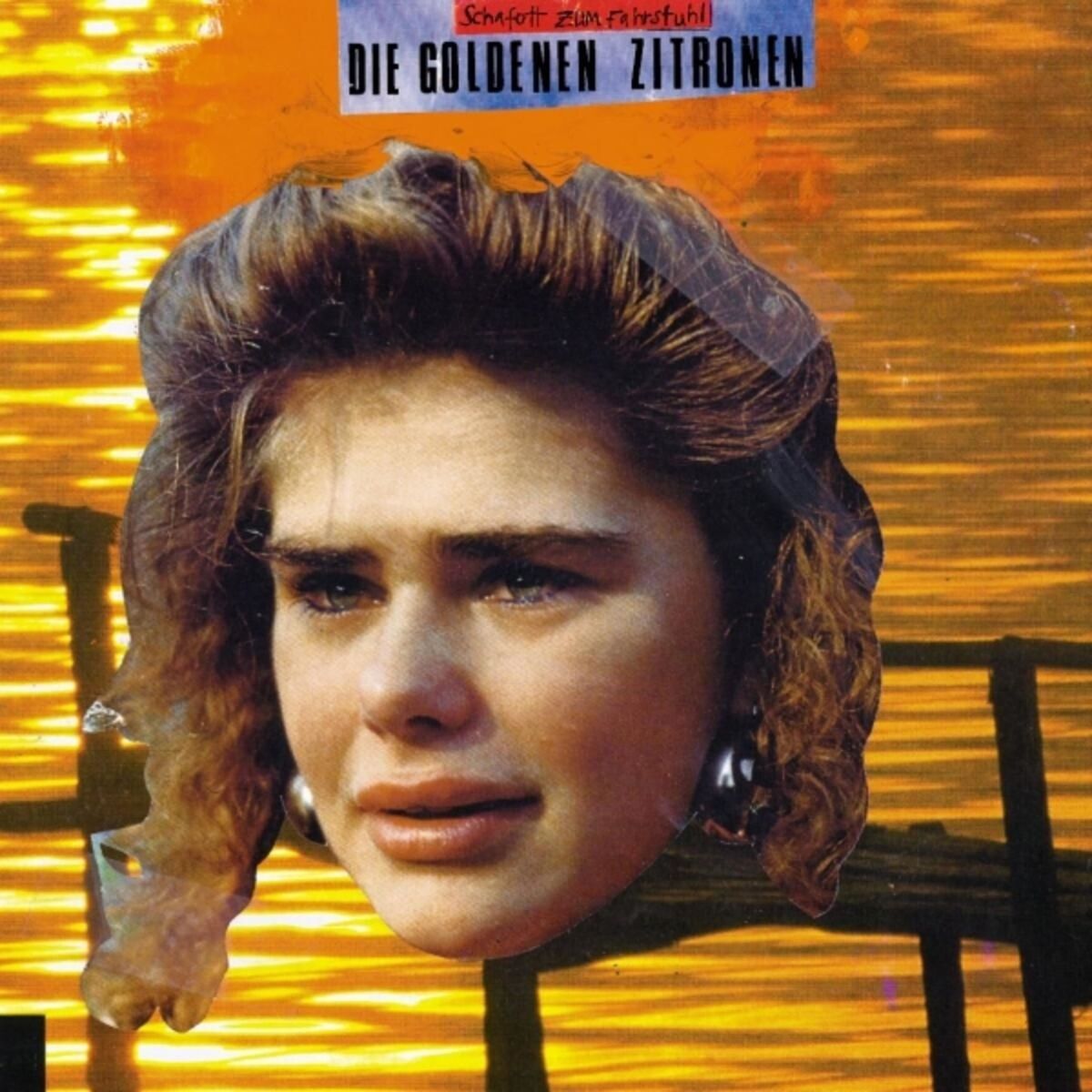Album cover of Schafott zum Fahrstuhl