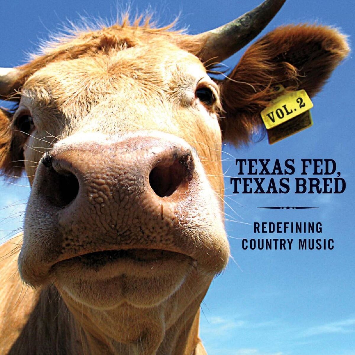 Album cover of Texas Fed, Texas Bred: Redefining Country Music Vol. II