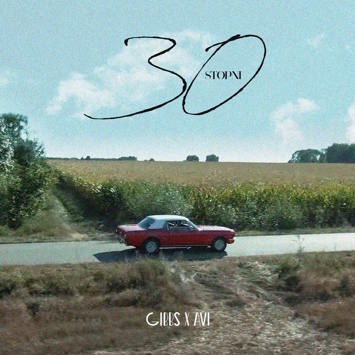 Album cover of 30 stopni
