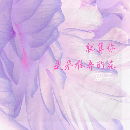 就算你是朵难养的花
