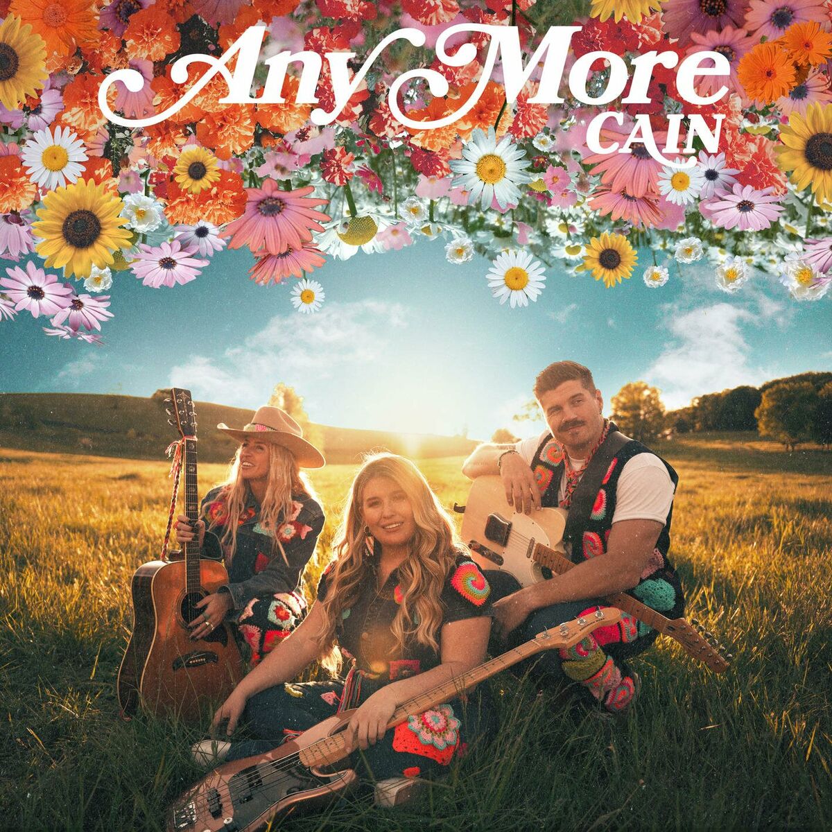 Album cover of Any More