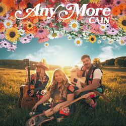 Cover of Any More