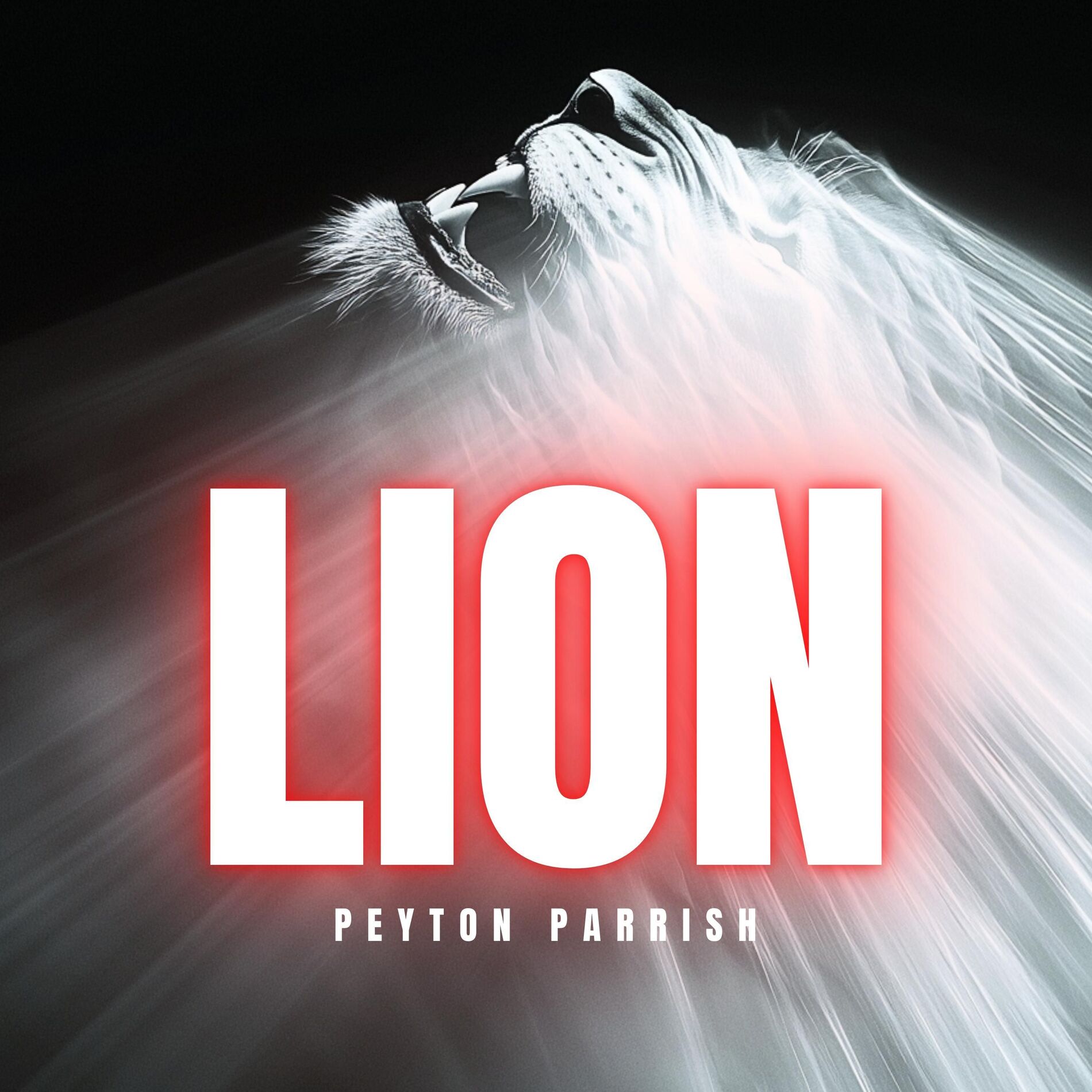 Album cover of LION