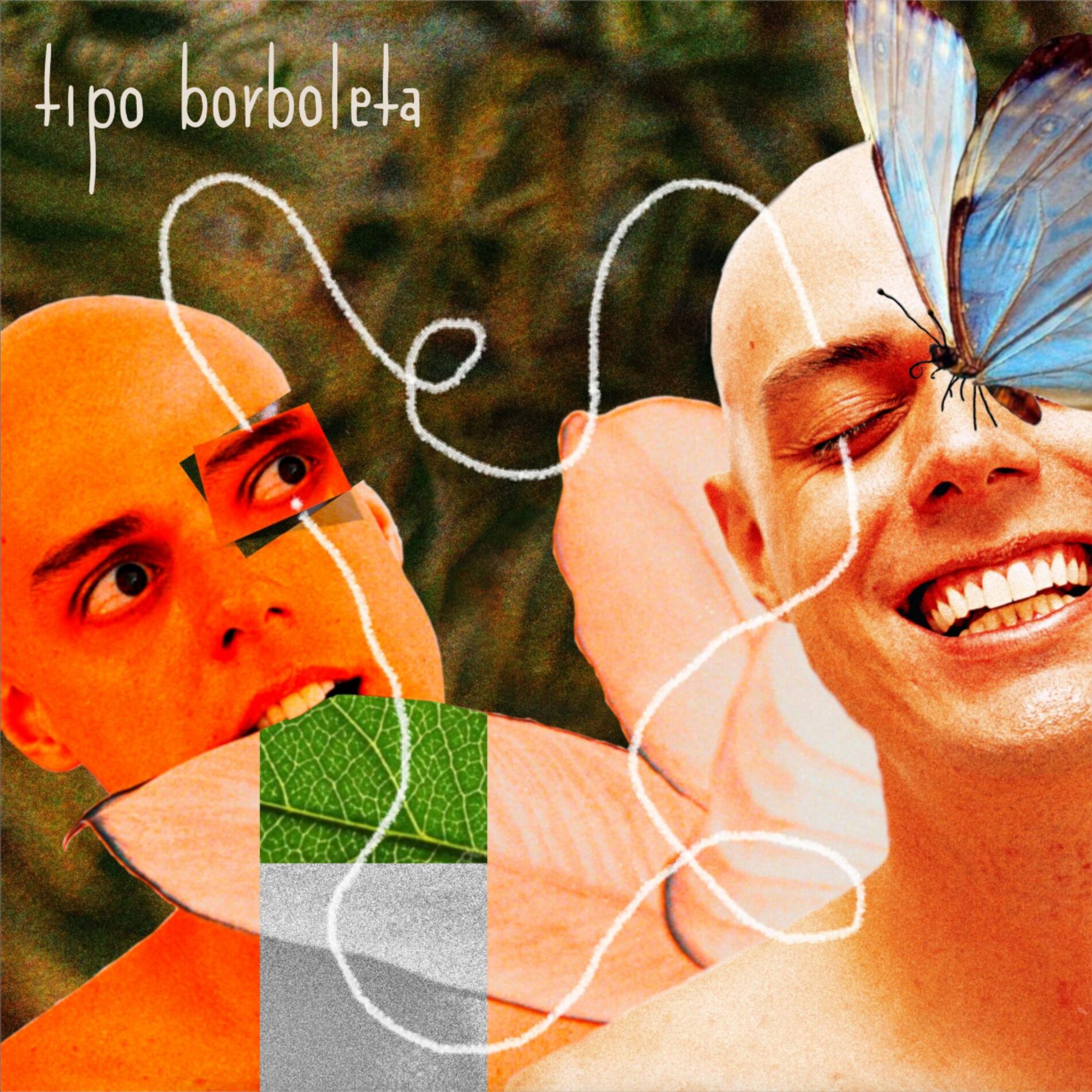 Album cover of Tipo Borboleta