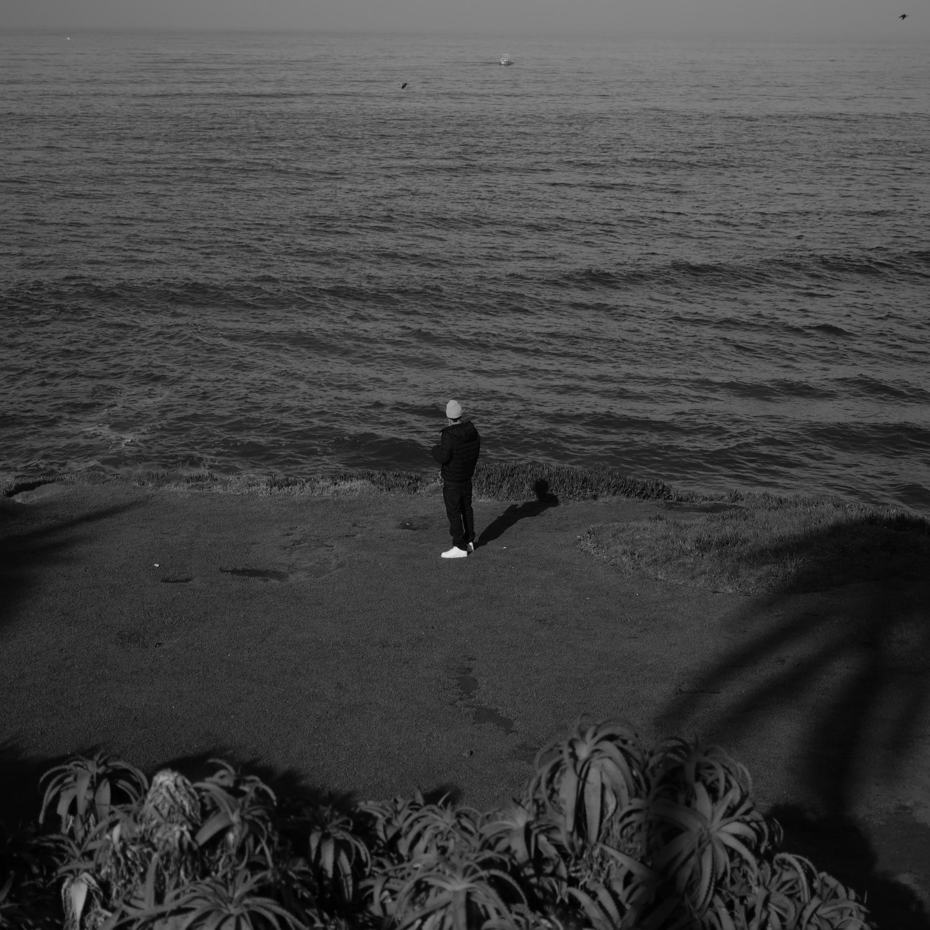 Album cover of si me llamas