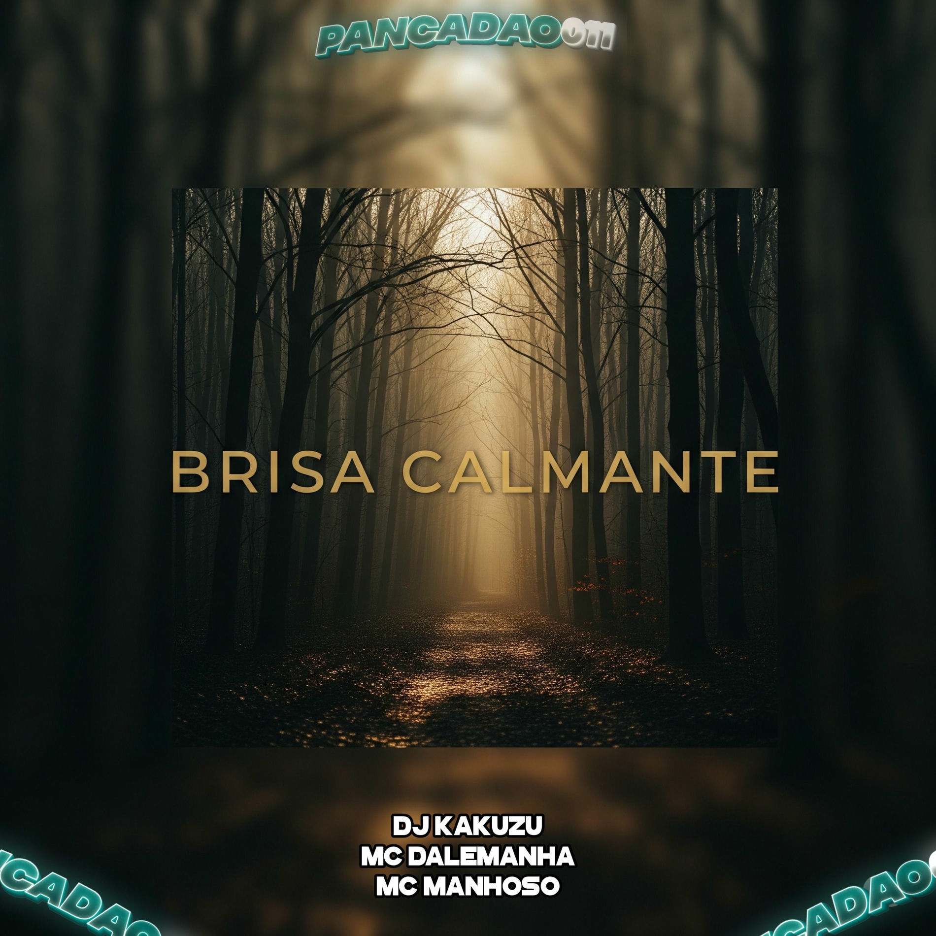 Album cover of BRISA CALMANTE