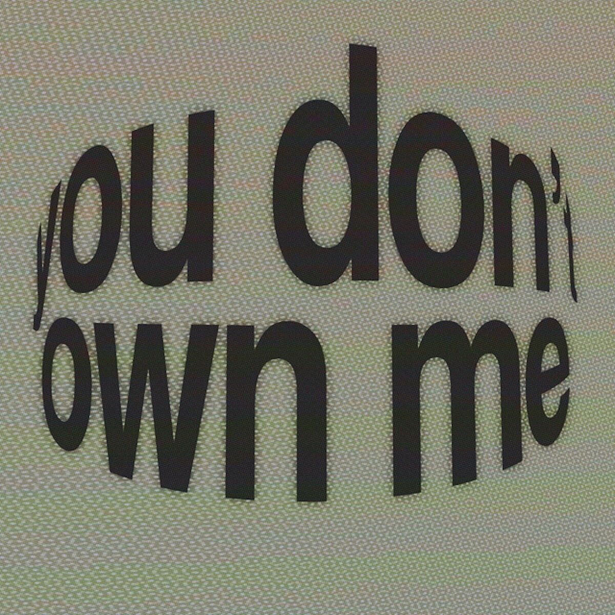 Album cover of You Don't Own Me (Slowed + Reverb)