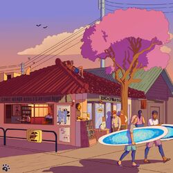 Cover of Chasing Sunsets