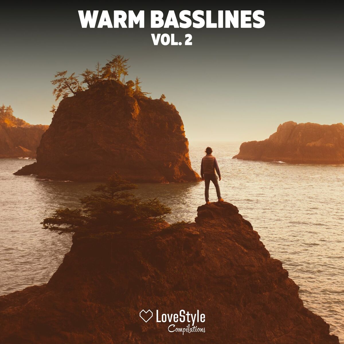 Album cover of Warm Basslines Vol. 2