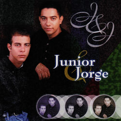 Cover of Tu Vas A Volar
