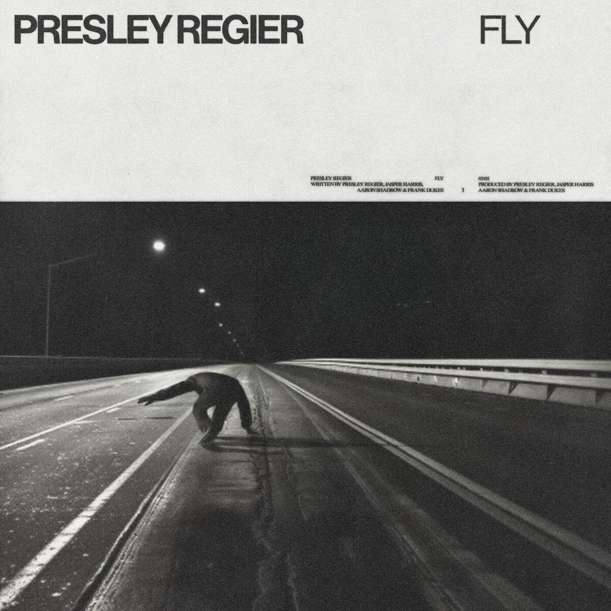 Album cover of Fly