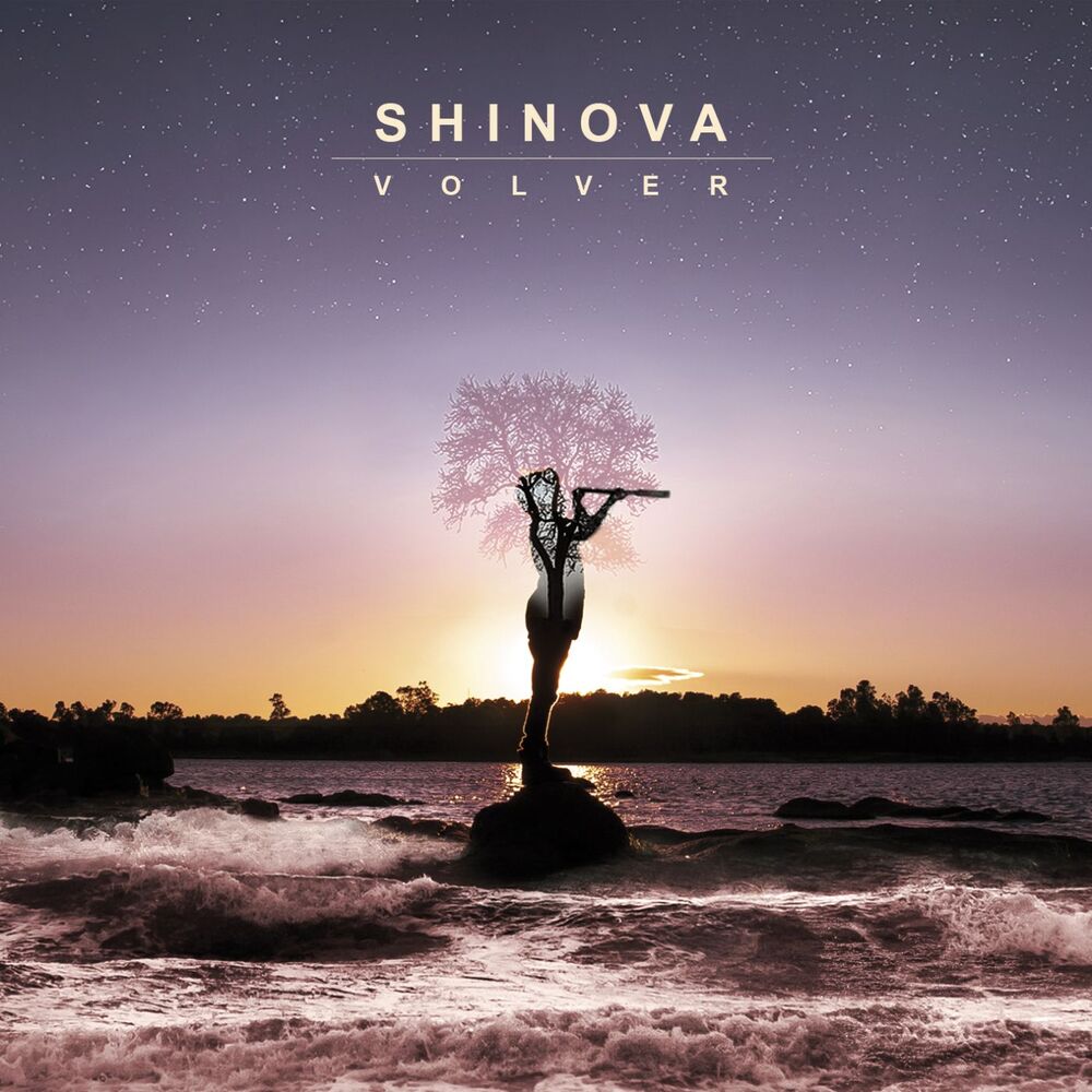 Picture of Volver