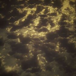 Far Out