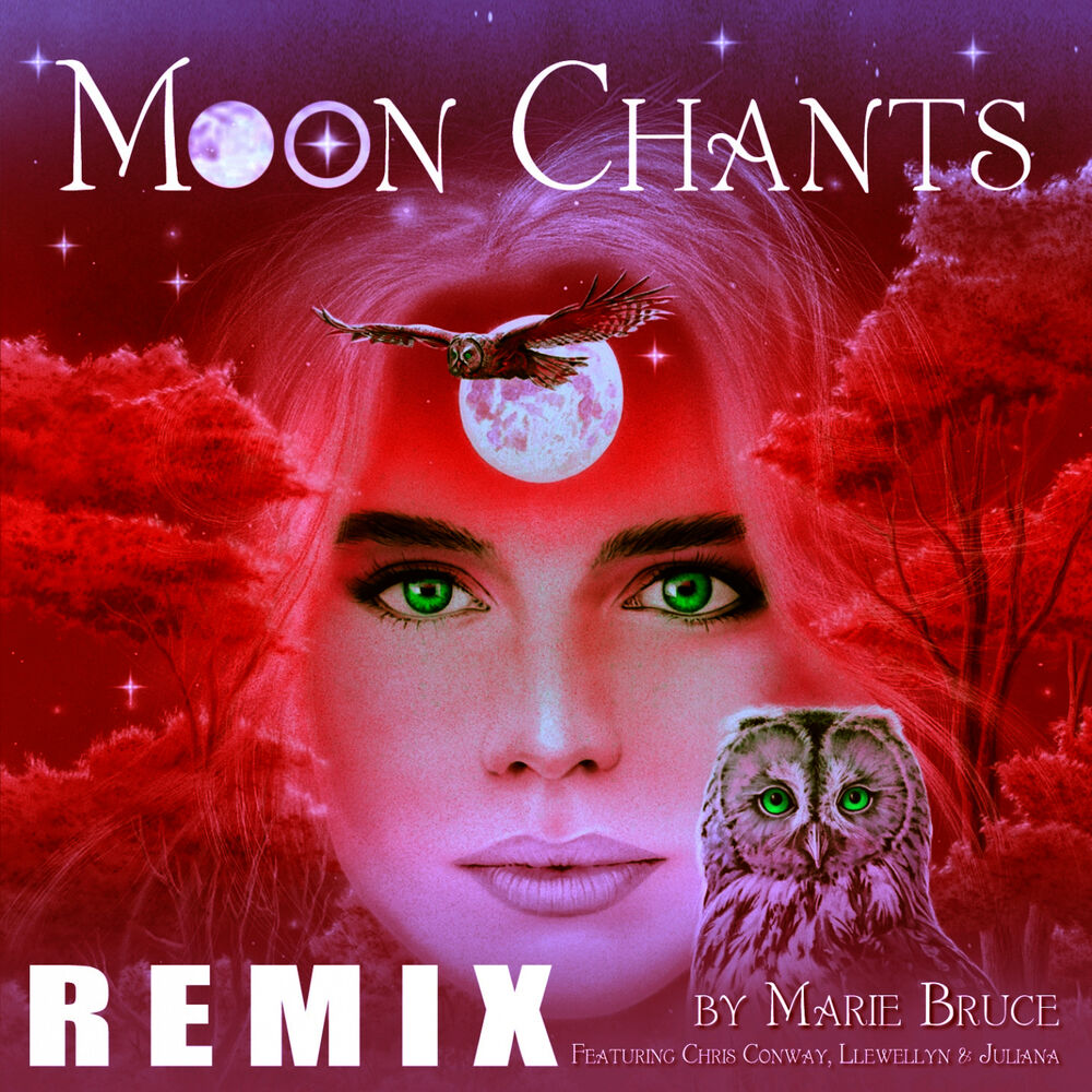 Picture of Moon Chants - Earthy Remix (Download Exclusive)