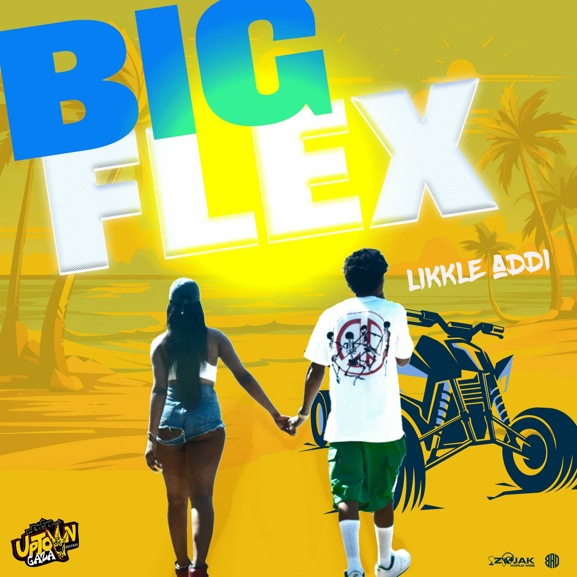 Album cover of Big Flex