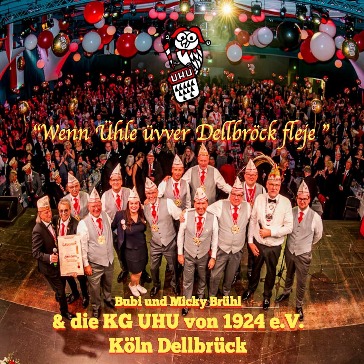 Album cover of Wenn Ühle üvver Dellbröck fleje