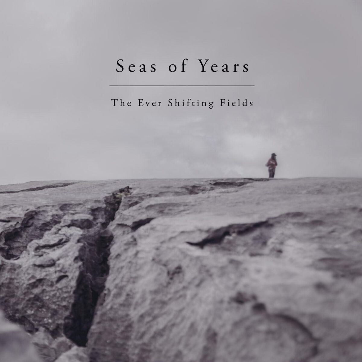 Album cover of The Ever Shifting Fields