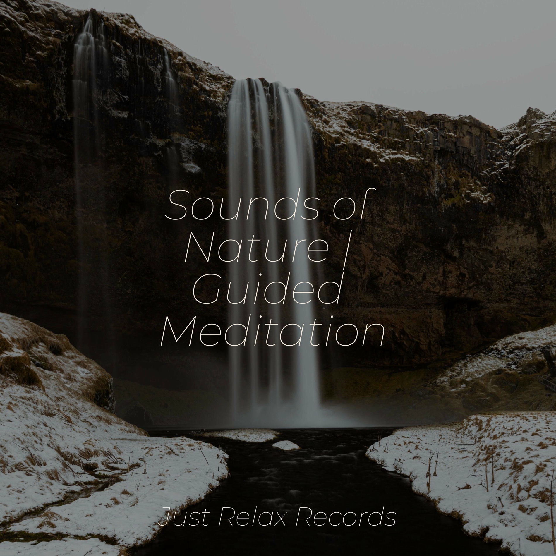 Album cover of Sounds of Nature | Guided Meditation