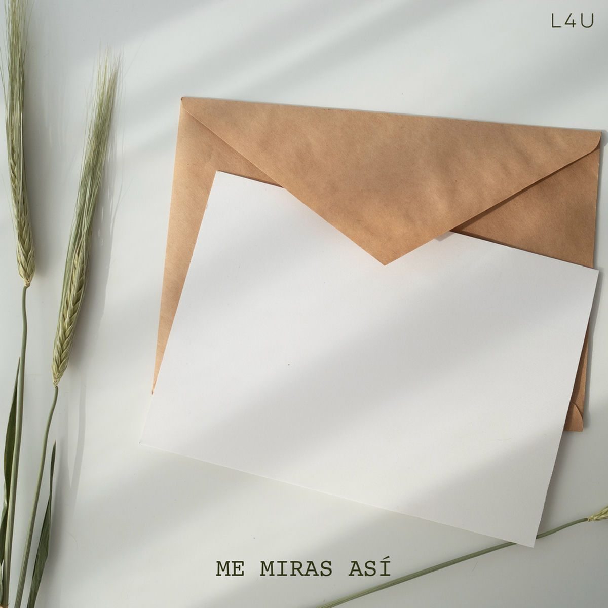 Album cover of Me miras así