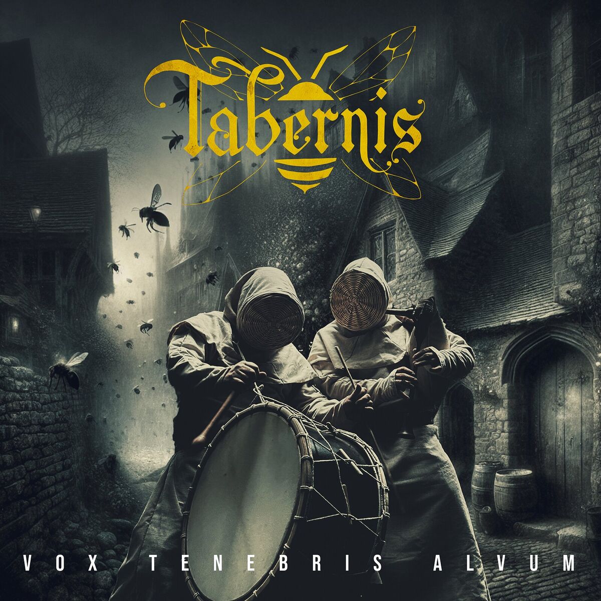 Album cover of Vox Tenebris Alvum