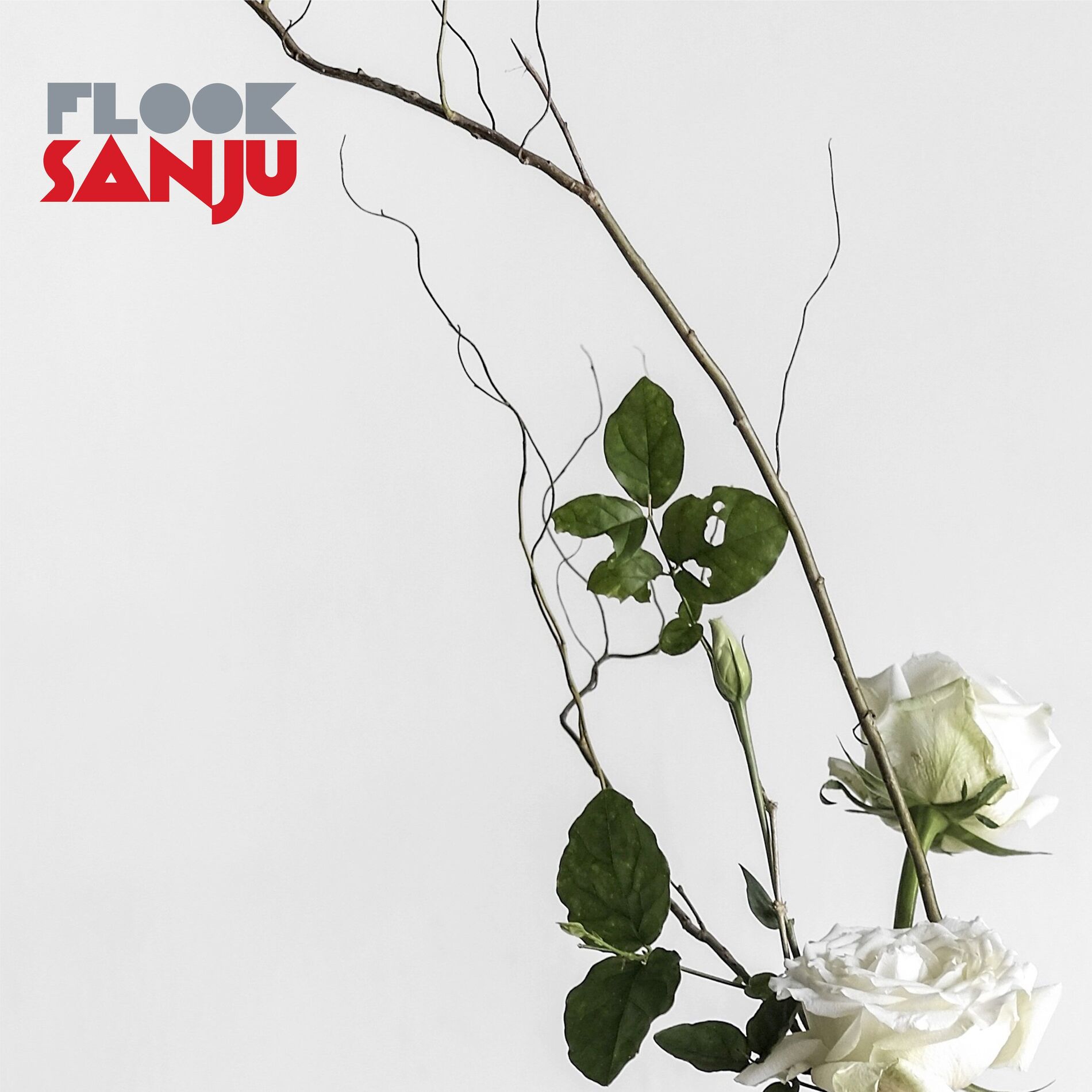 Album cover of Sanju