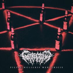 Cover of Filius Mulieris Meretricis