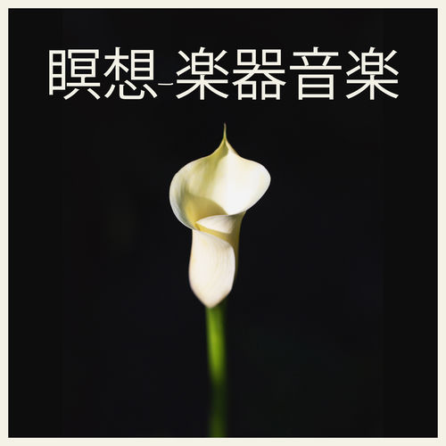 瞑想-楽器音楽-ハーモニー、フルート音楽、ピアノ、ギター、自然の音、レイキ音楽、禅、ヨガ、スピリチュアリティ