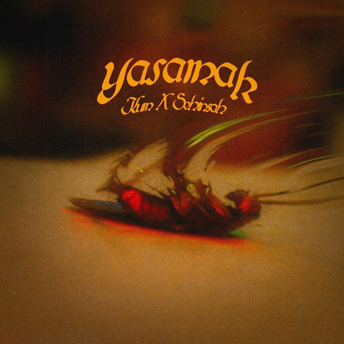 Album cover of Yaşamak
