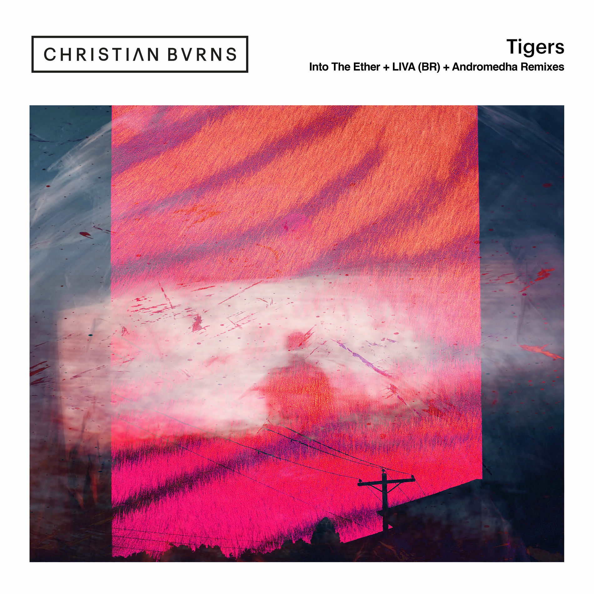 Album cover of Tigers (Remixes)