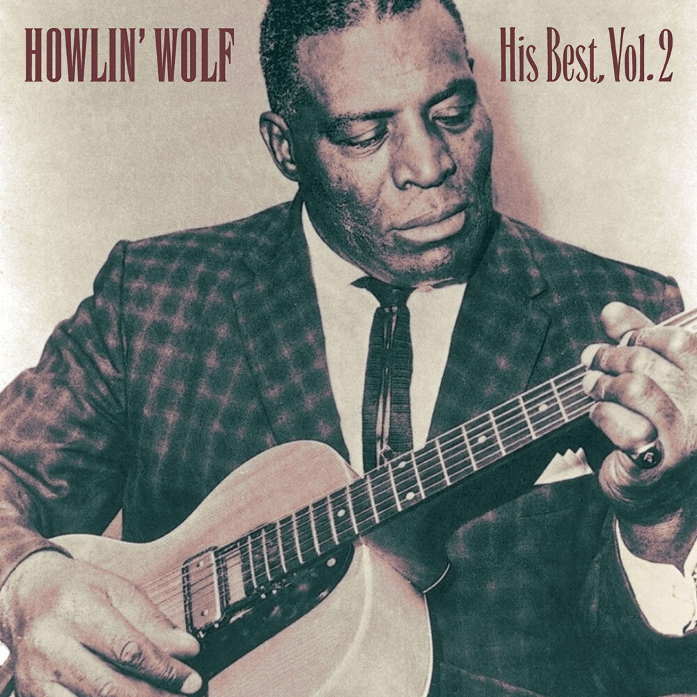 Picture of His Best, Vol.2