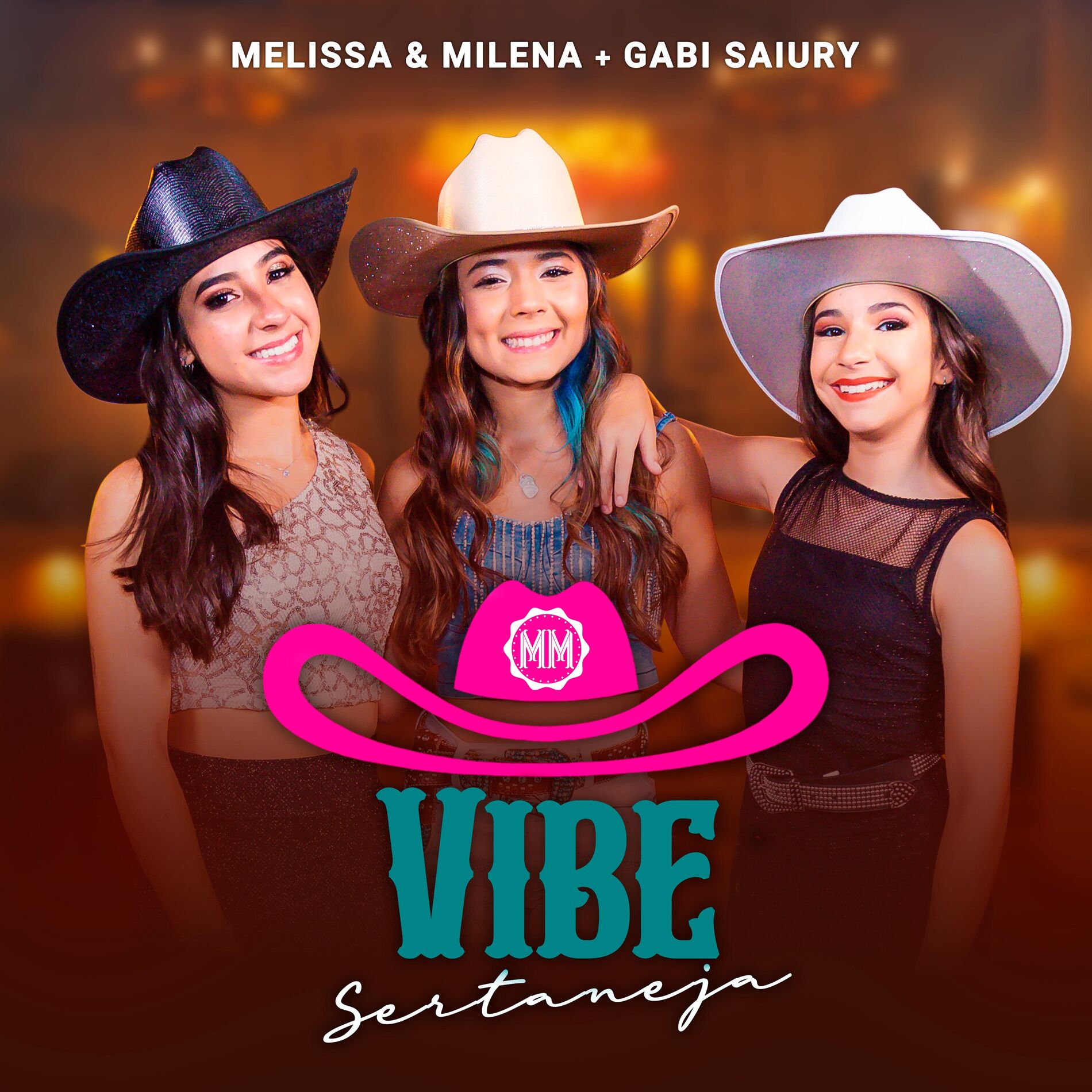 Album cover of Vibe Sertaneja