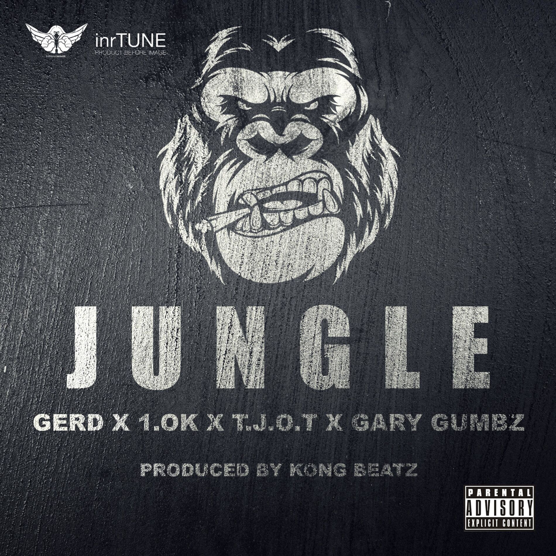 Album cover of Jungle (feat. Gerd, 1.OK, T.J.O.T & Gary Gumbz)