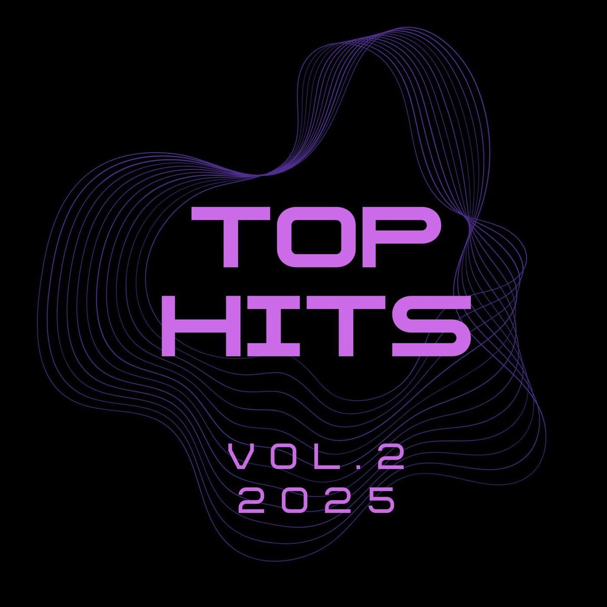 Album cover of TOP HITS VOL.2 2025