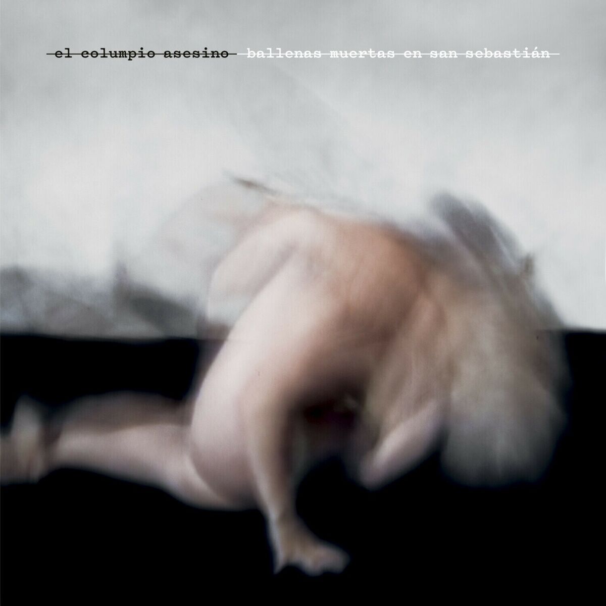 Album cover of Ballenas Muertas en San Sebastián