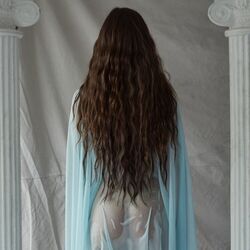 Cover of Odyssey