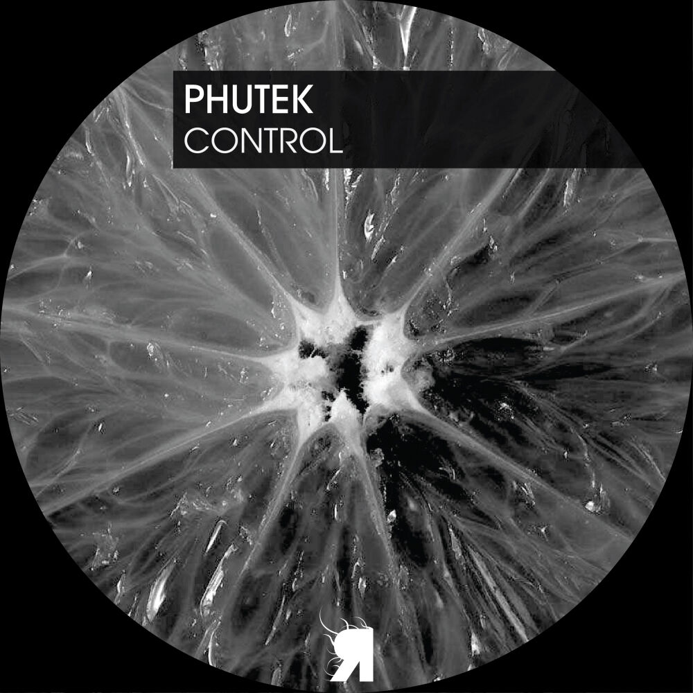 Picture of Control
