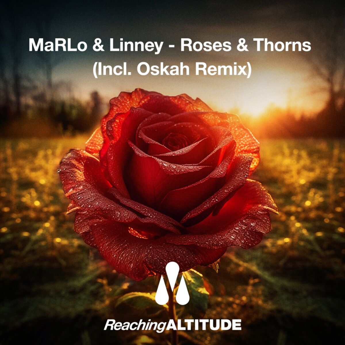 Album cover of Roses & Thorns