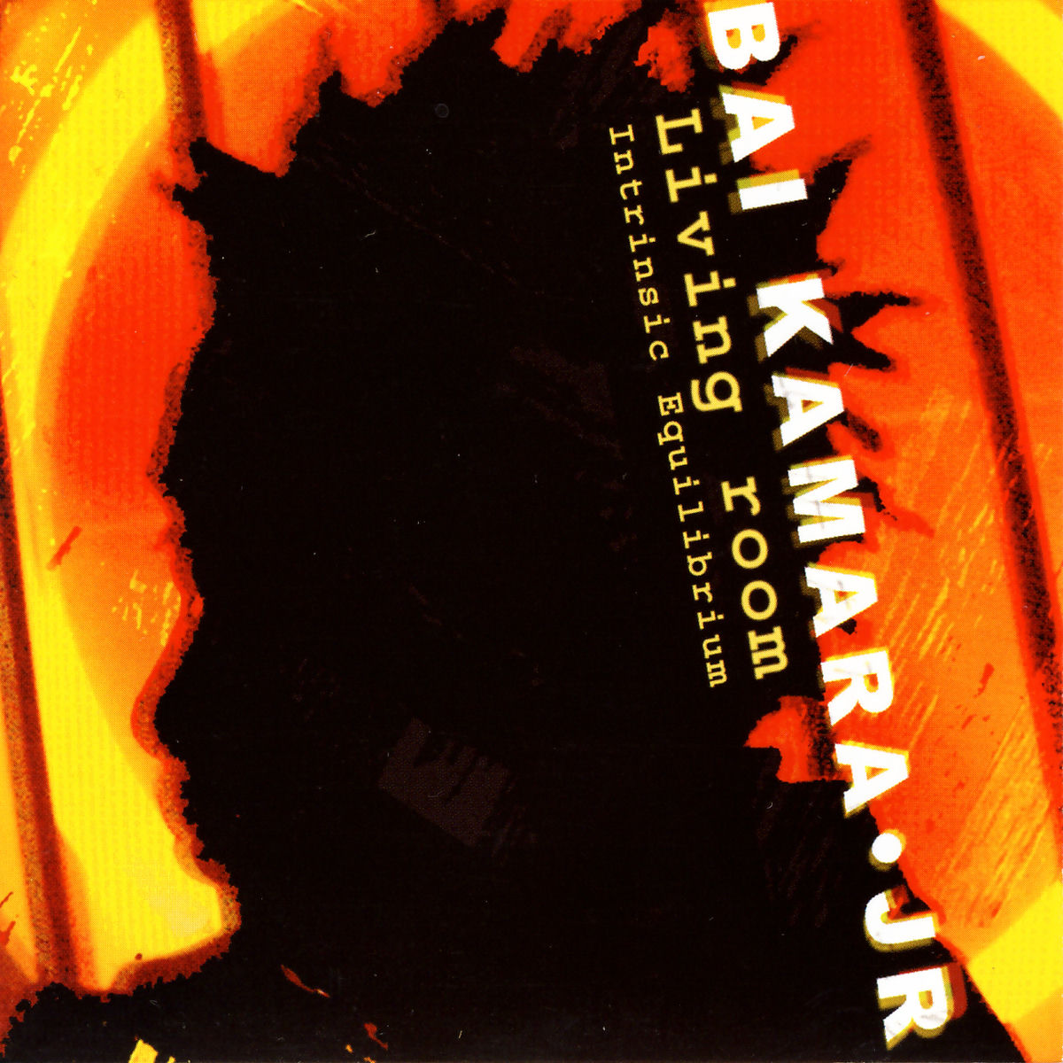 Album cover of Living Room / Intrinsic Equilibrium