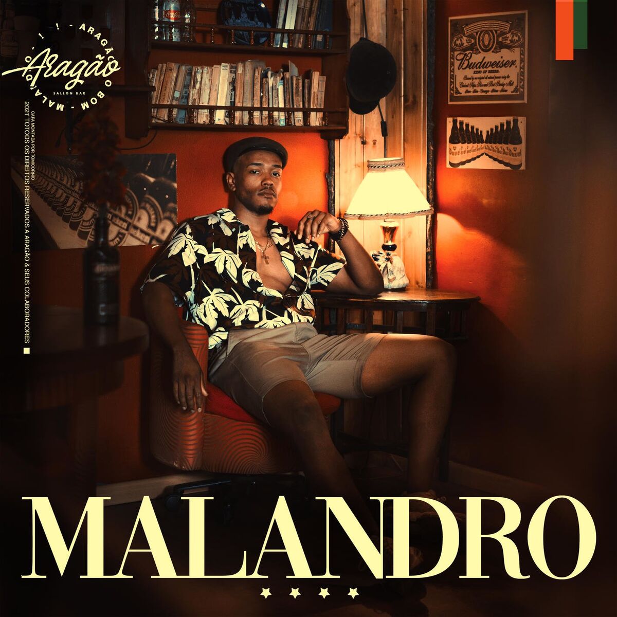 Album cover of Malandro