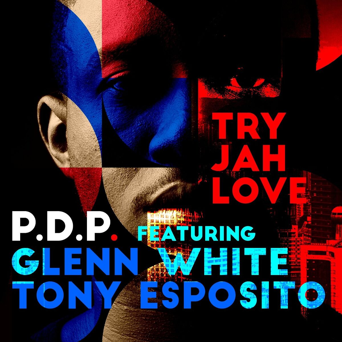Album cover of Try Jah Love