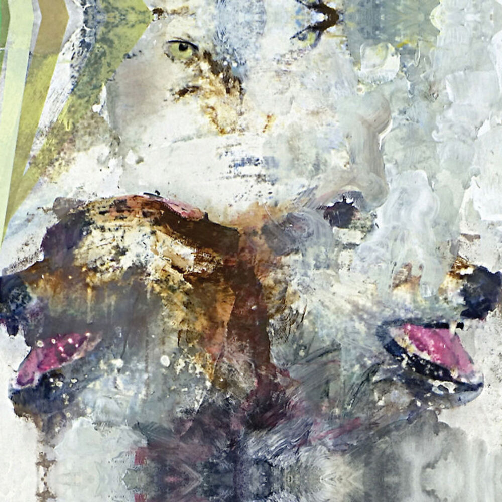Picture of Tail Swallower and Dove